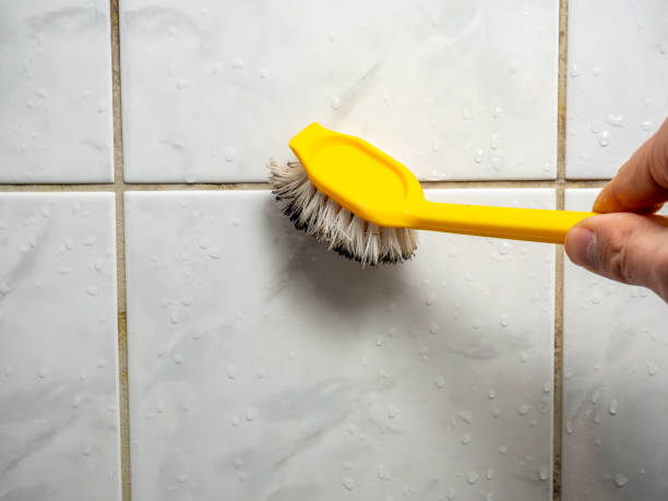 Best Mold Removal Specialists  in Osceola Mills, PA